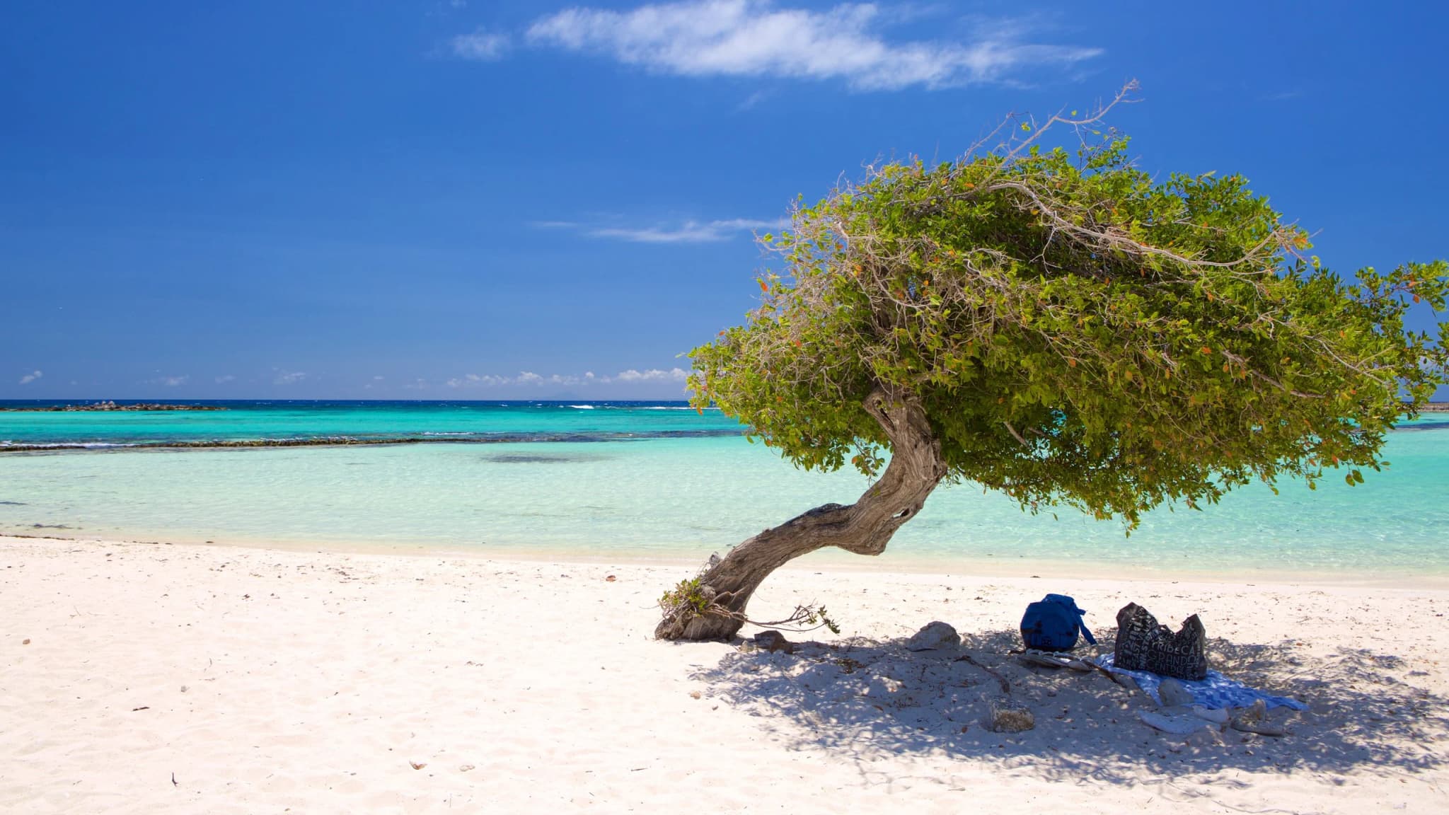 Beautiful Aruba Beach View